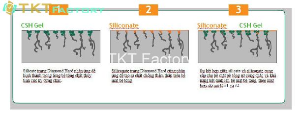 cơ chế tác động của hóa chất tăng cứng Silicate