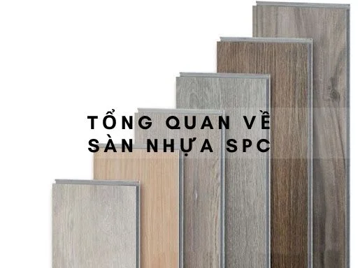 tong-quan-san-nhua-spc