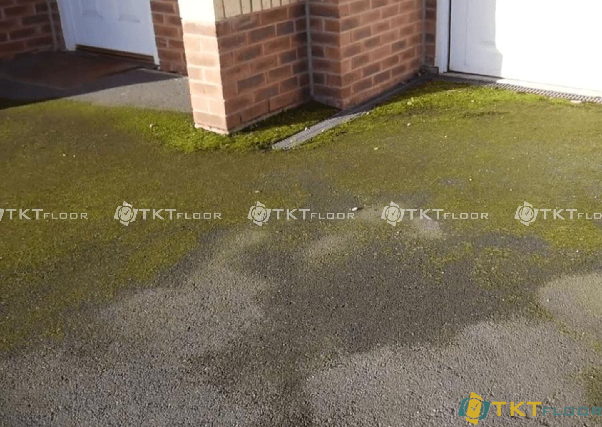 TOP 7 WAYS TO KILL MOSS ON CEMENT FLOORS TKT Floor