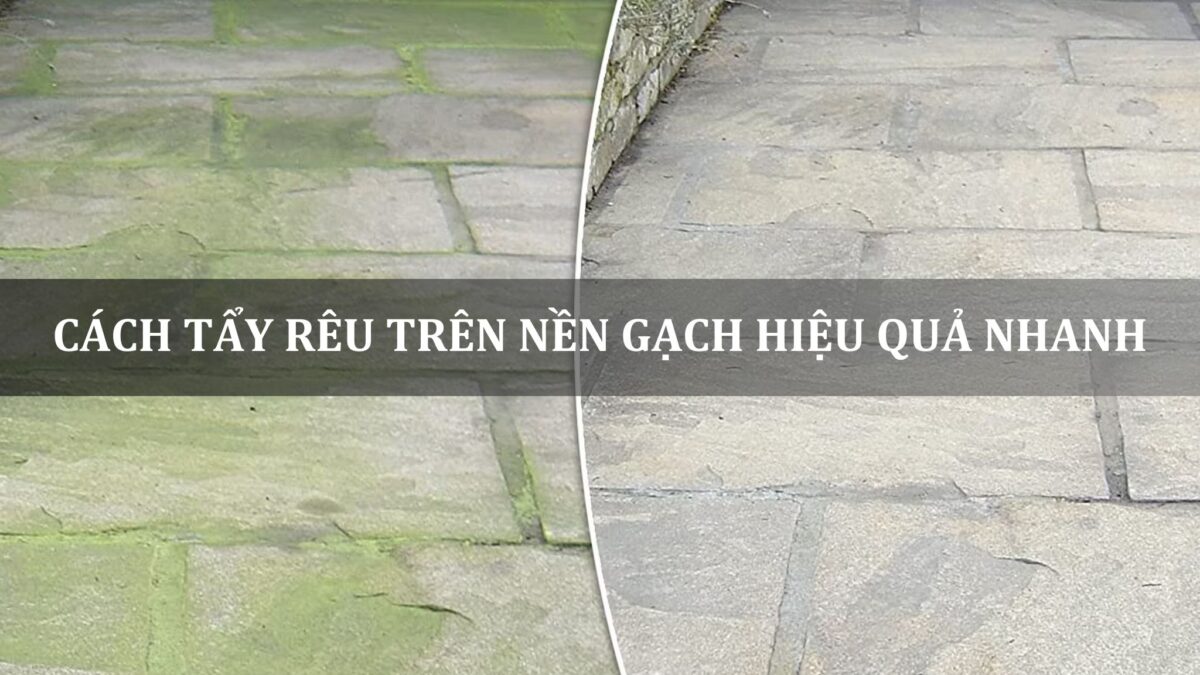 cách tẩy rêu trên nền gạch hiệu quả