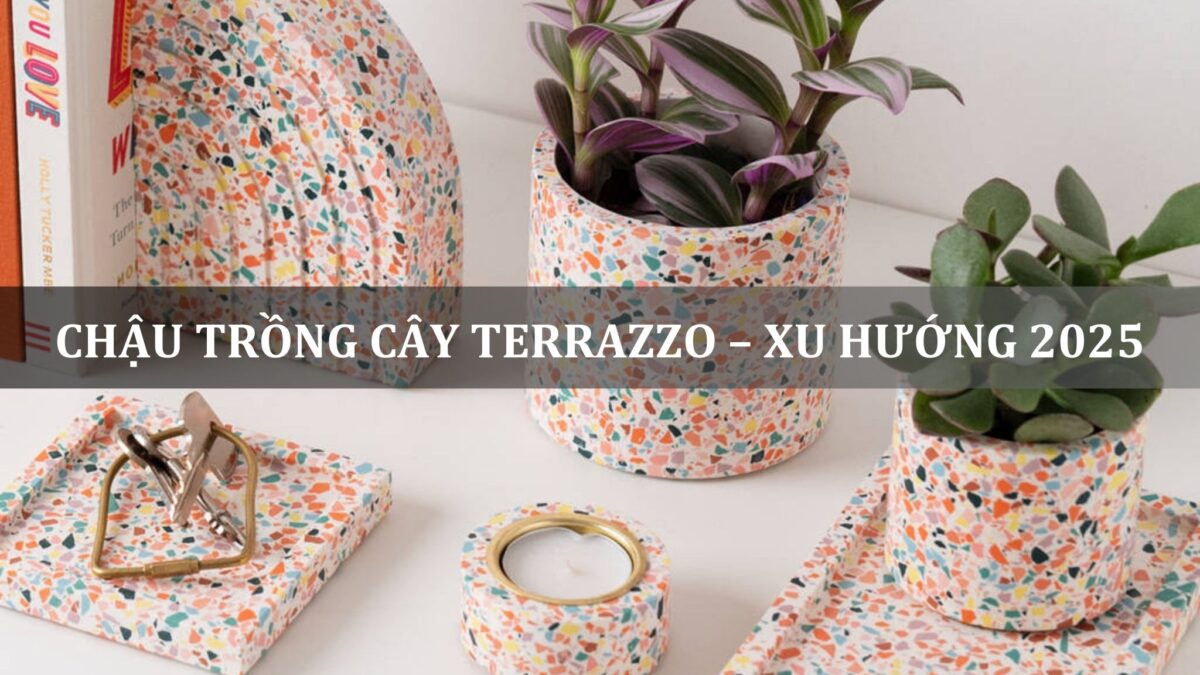 chậu trồng cây terrazzo