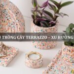 chậu trồng cây terrazzo