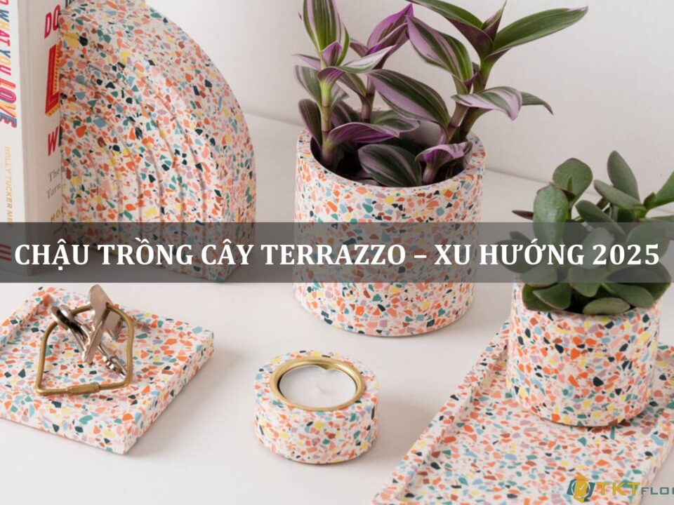 chậu trồng cây terrazzo